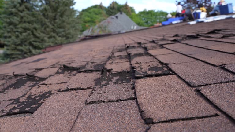 Best Skylight Installation and Repair  in Una, WA